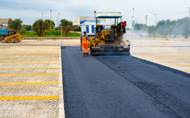 Best Custom Driveway Pavers  in Wartburg, TN